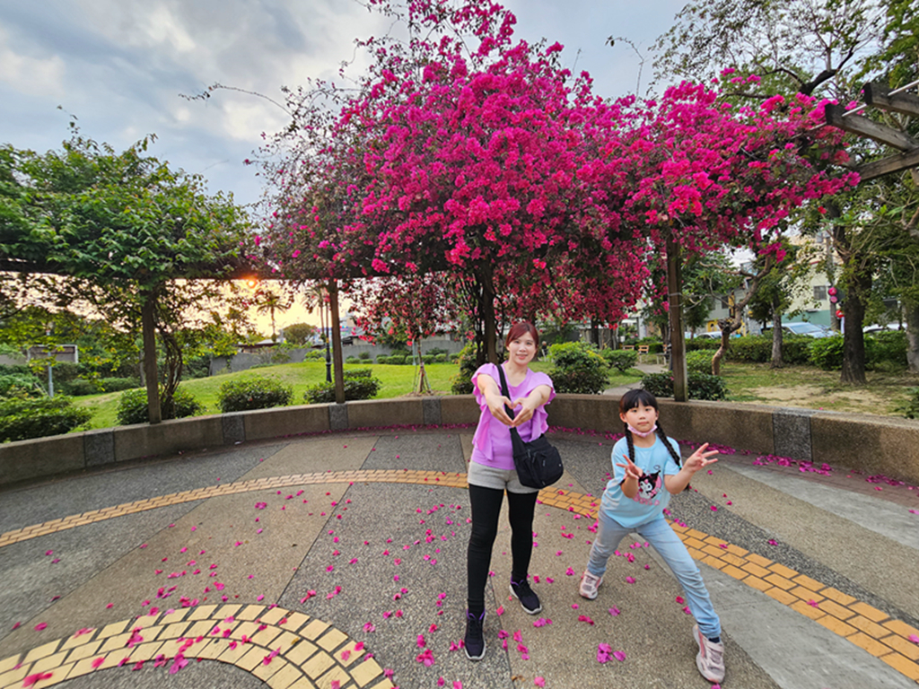 【台中特色公園】綠色多功能滑梯組~大里九二一紀念公園|鳥巢盪鞦韆|搖搖馬|季節限定九重葛|臺中美樂地 - 第21張圖
