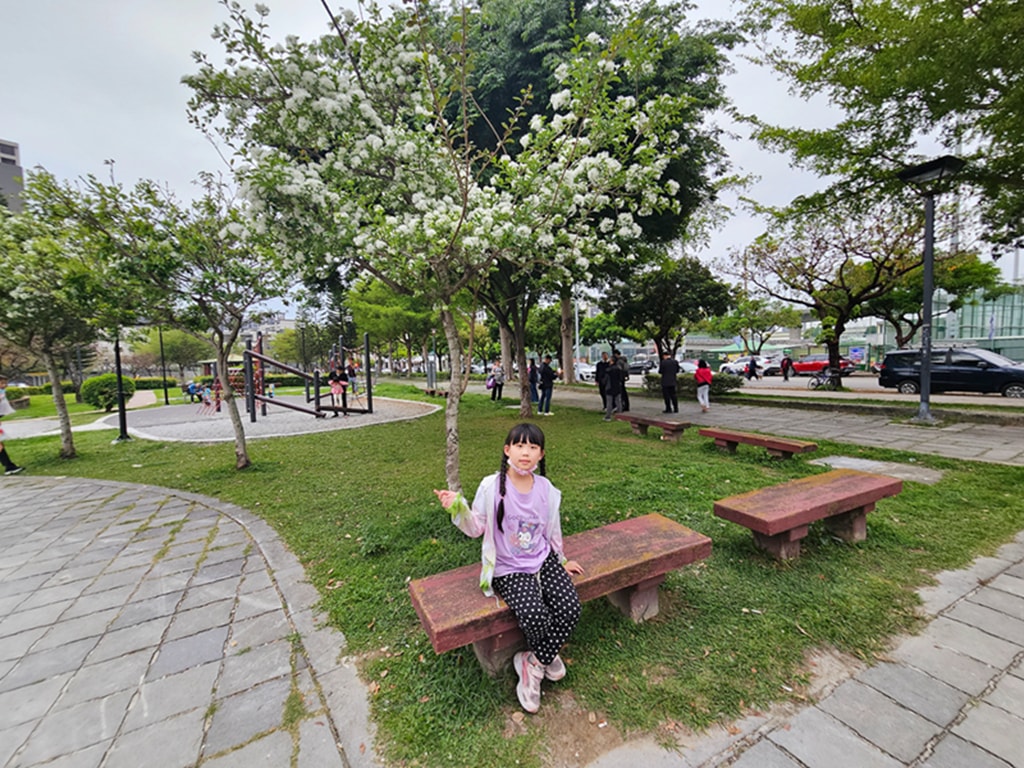 【台中特色公園】大碗公溜滑梯 ~北屯廍興公園｜野餐草地 + 健康步道｜季節限定流蘇花｜臺中美樂地