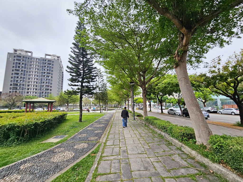 【台中特色公園】大碗公溜滑梯 ~北屯廍興公園｜野餐草地 + 健康步道｜季節限定流蘇花｜臺中美樂地