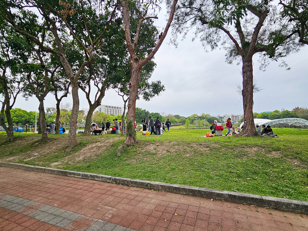 【台中特色公園】森林系心靈綠洲~太平坪林森林公園｜長頸鹿桌椅＋溜滑梯遊戲區＋森林步道｜臺中美樂地
