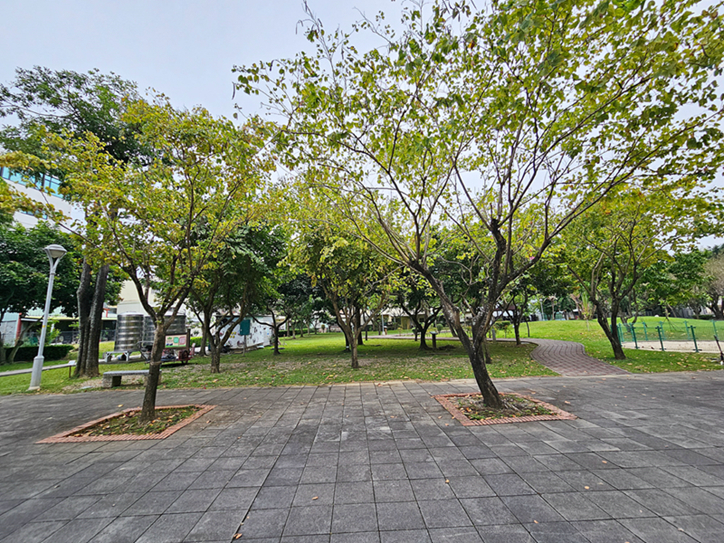 【台中特色公園】多功能遊戲組~太平麗園公園｜旋轉遊具｜愛心磚牆｜季節限定櫻花大道｜臺中美樂地