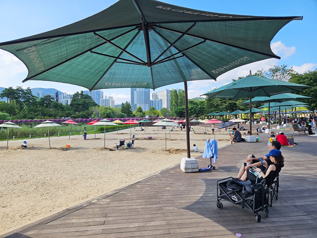 【韓國釜山景點】親子景點推薦~釜山市民公園│超大型共融遊戲場│巨型攀爬網架│沙坑+森林樹屋+花海步道 - 第10張圖 【韓國釜山景點】親子景點推薦~釜山市民公園│超大型共融遊戲場│巨型攀爬網架│沙坑+森林樹屋+花海步道