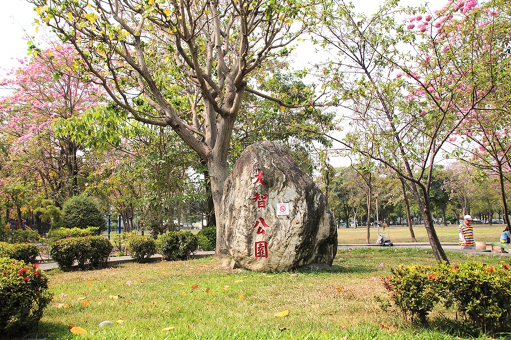 【台中特色公園】季節限定洋紅風鈴木~東區大智公園｜小山丘溜滑梯｜春天療癒心靈的小公園 🌸｜臺中美樂地