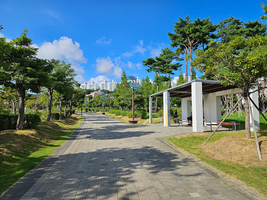 【韓國釜山景點】親子景點推薦~釜山市民公園│超大型共融遊戲場│巨型攀爬網架│沙坑＋森林樹屋＋花海步道