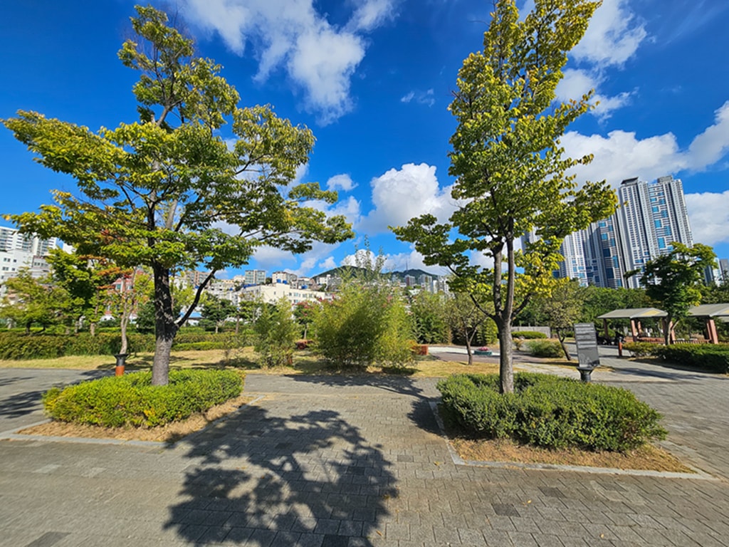 【韓國釜山景點】親子景點推薦~釜山市民公園│超大型共融遊戲場│巨型攀爬網架│沙坑＋森林樹屋＋花海步道