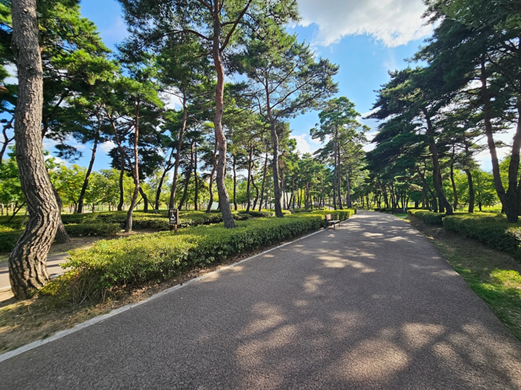 【韓國釜山景點】親子景點推薦~釜山市民公園│超大型共融遊戲場│巨型攀爬網架│沙坑+森林樹屋+花海步道 - 第23張圖 【韓國釜山景點】親子景點推薦~釜山市民公園│超大型共融遊戲場│巨型攀爬網架│沙坑+森林樹屋+花海步道