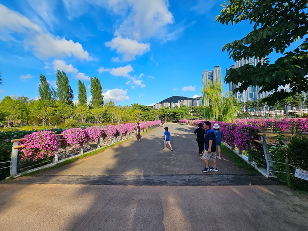 【韓國釜山景點】親子景點推薦~釜山市民公園│超大型共融遊戲場│巨型攀爬網架│沙坑＋森林樹屋＋花海步道