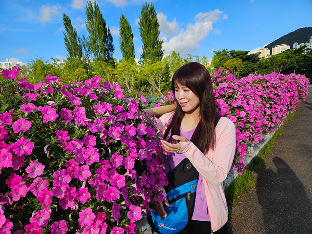 【韓國釜山景點】親子景點推薦~釜山市民公園│超大型共融遊戲場│巨型攀爬網架│沙坑＋森林樹屋＋花海步道