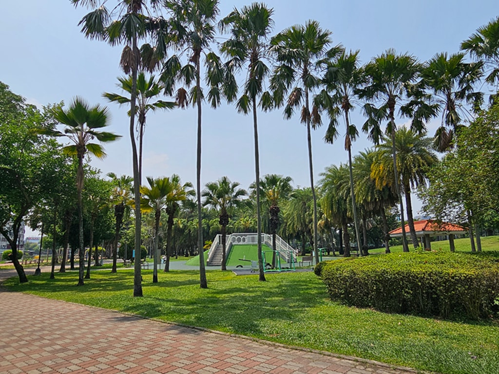 【台中特色公園】綠色山丘遊戲場~東區東峰公園|🌴 椰林步道|鳥巢鞦韆|臺中美樂地 - 第1張圖 【台中特色公園】綠色山丘遊戲場~東區東峰公園|🌴 椰林步道|鳥巢鞦韆|臺中美樂地
