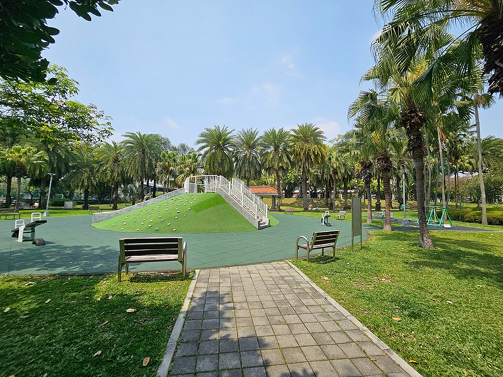 【台中特色公園】綠色山丘遊戲場~東區東峰公園｜🌴 椰林步道｜鳥巢鞦韆｜臺中美樂地