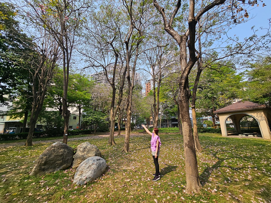 【台中特色公園】小山丘溜滑梯~南區南平公園｜原木攀爬架｜繩網步道&圓形隧道｜鳥巢鞦韆｜臺中美樂地