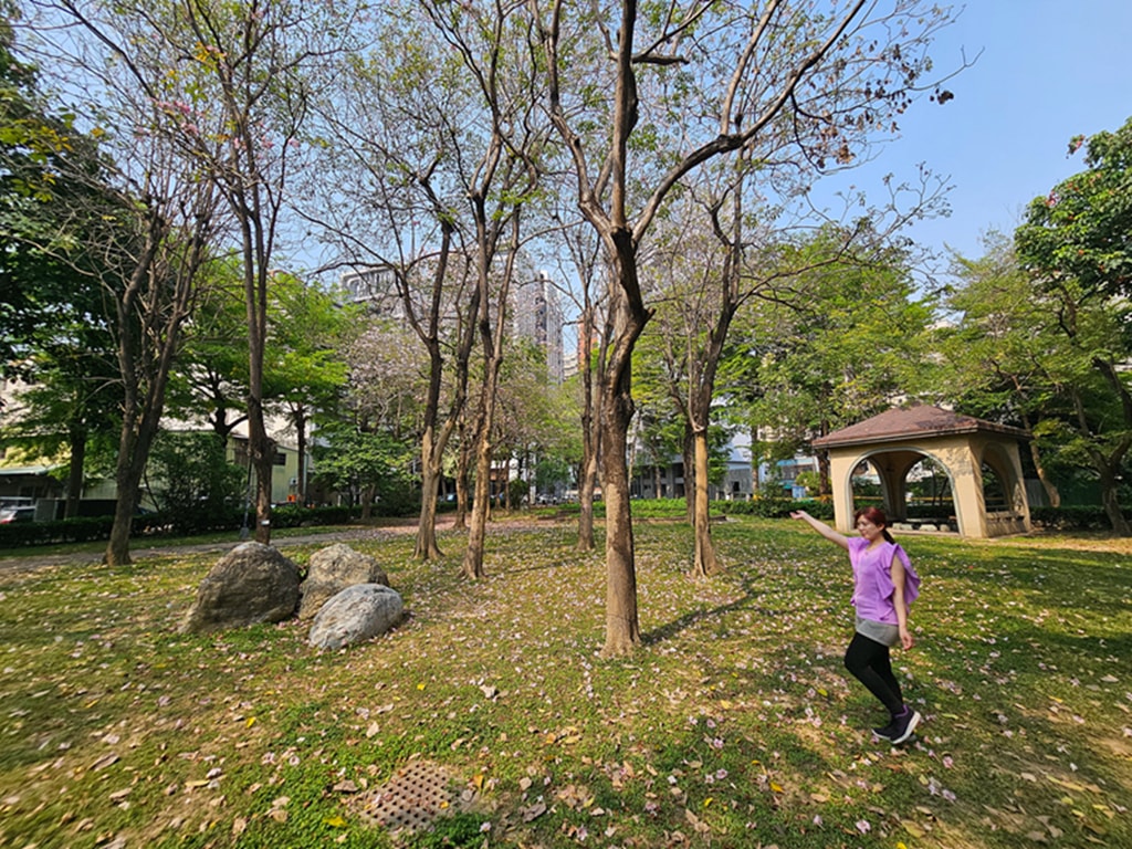 【台中特色公園】小山丘溜滑梯~南區南平公園|原木攀爬架|繩網步道&圓形隧道|鳥巢鞦韆|臺中美樂地 - 第4張圖 【台中特色公園】小山丘溜滑梯~南區南平公園|原木攀爬架|繩網步道&圓形隧道|鳥巢鞦韆|臺中美樂地