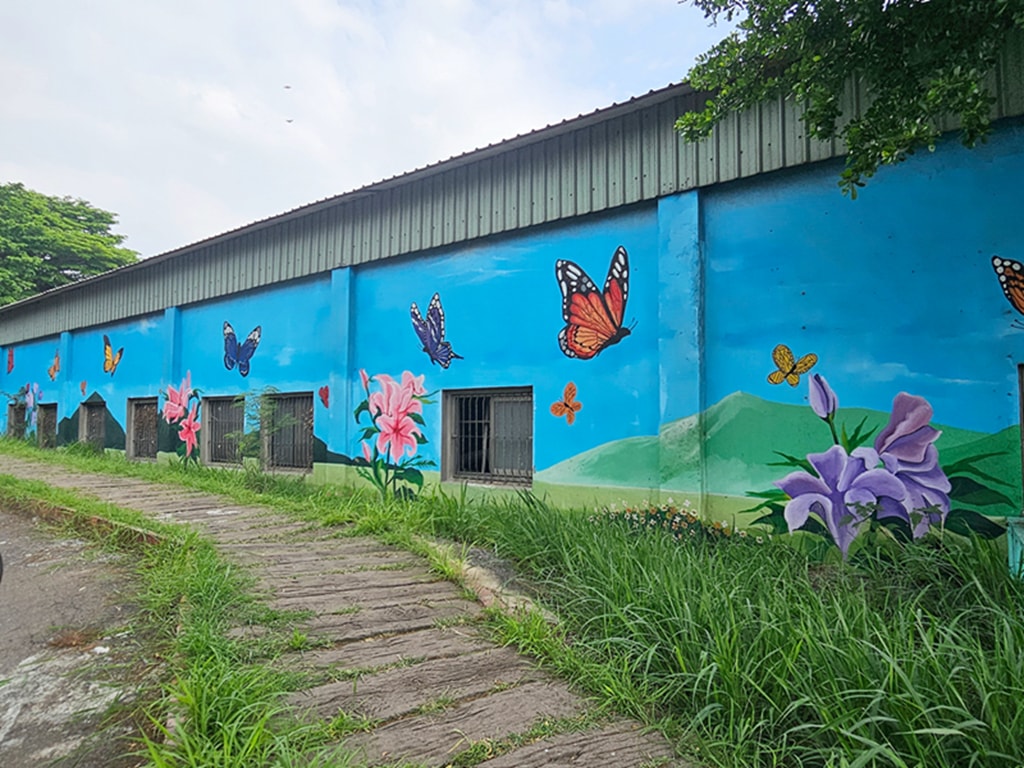 【台中景點】竹坑南寮登山步道~龍井竹坑里彩繪牆｜天空主題戰鬥機｜白鷺鷥、飛鳥、蝴蝶與花田｜木棧道、田野仁者、樂山