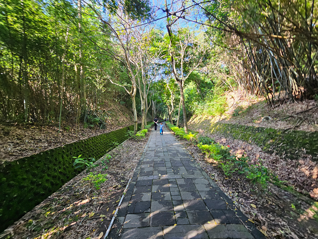 【苗栗特色公園】藏在山城裡的星空滑梯～功維敘滾輪溜滑梯｜31公尺滾輪滑道｜順遊功維敘隧道｜親子放電小景點