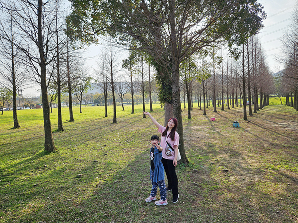 【桃園特色公園】海盜船遊戲場~大溪河濱公園｜落羽松林景觀美拍｜堤岸步道散步｜草地野餐親子遊