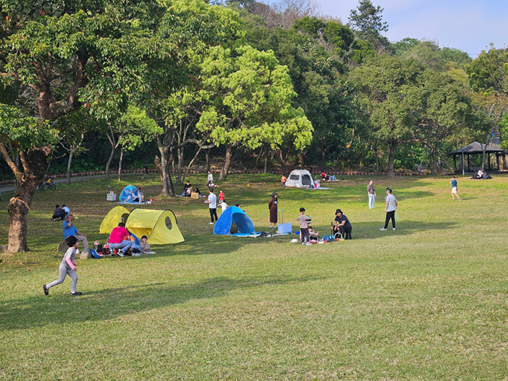 【桃園特色公園】海盜船遊戲場~大溪河濱公園｜落羽松林景觀美拍｜堤岸步道散步｜草地野餐親子遊