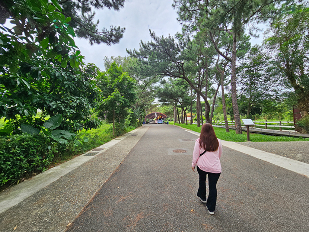 【桃園景點】藏在大湳森林公園閩南文化聚落~八塊厝民俗藝術村｜四大主題館舍｜親子免費景點｜散步拍照也很可以